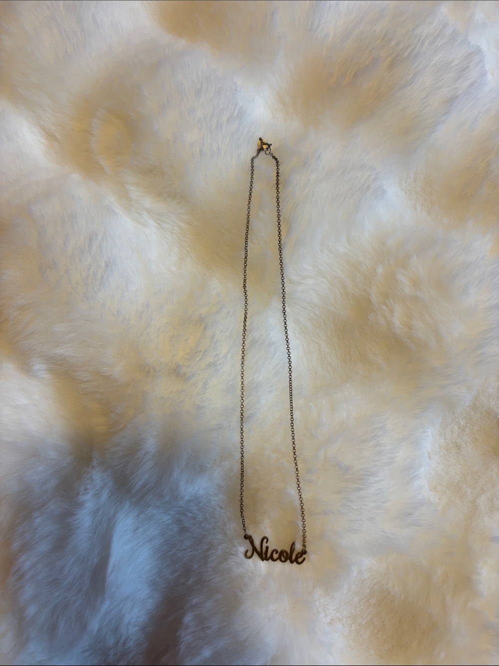 Personalized "Nicole" Nameplate Necklace in Gold